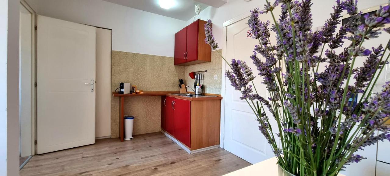Апартаменты Tiny Studio Big Living Ровинь Экстерьер фото